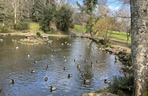 Mole Cottage - Foto 129