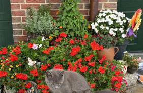 Ferienwohnung Spreewaeldchen - Foto 50