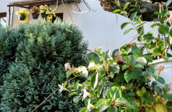 Salt Mine Apartment Bochnia by OTH - Foto 13