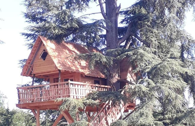 Relais du Haget - Foto 13