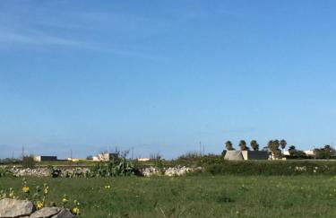 La Maranedda - Foto 8