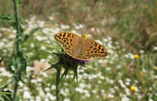 Casa Rural Las Jañonas CC-CR-00219 - Foto 23