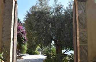 Azienda Agrituristica Biologica Il Querceto - Foto 16