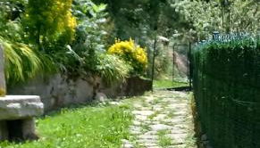 Apartamento - Foto 3