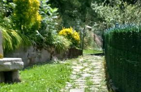 Apartamento - Foto 3