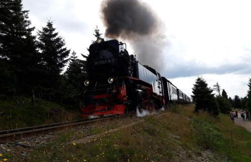 Ferienhaus am Riesenberg - Foto 36