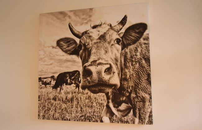 Apartment in Kirchdorf Near Ski Slopes - Foto 20