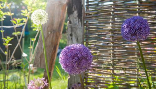 Ferienwohnung Spie - Photo 3