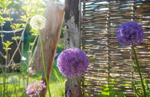 Ferienwohnung Spie - Photo 3