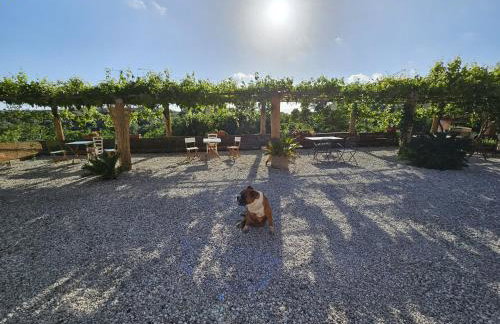 Tenuta degli Ulivi - Dimora Contadina - Foto 57