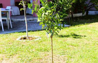 Private Villa AKOBARA, 2km from city center - Foto 45