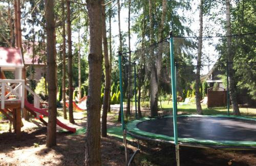 White & Black - Photo 11