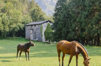 Agriturismo Ferdy - Foto 32