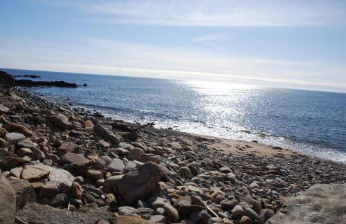 Faodail 'a lucky find' - Foto 39