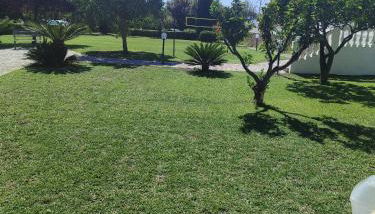 Appartamento in Villa Venezuela piano Terra - Foto 5, Garden