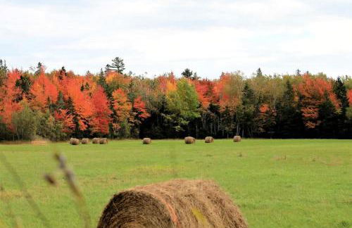 Cozy Waterfront Cottage with Private Beach and Fire Pit Near Gouldsboro, Maine - Foto 44