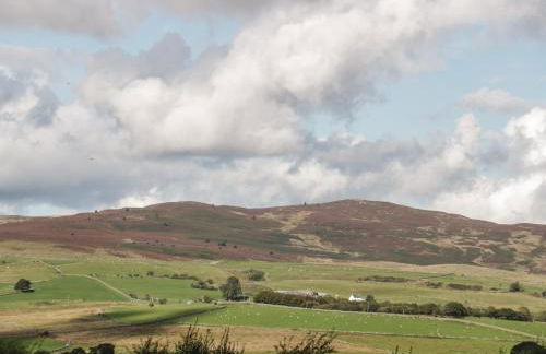 Bryn Dedwydd Farmhouse - Photo 34