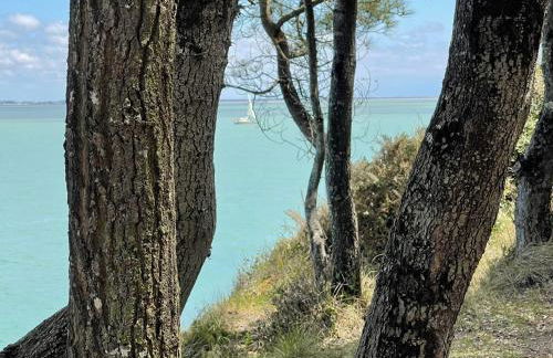 Appt FOURAS Centre Ville 50m de la Mer - Foto 33