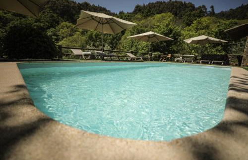 Mountain Whisper - Foto 76