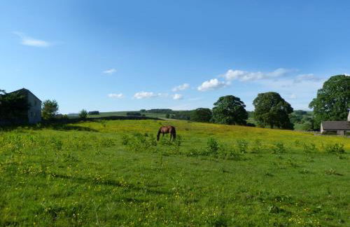 Park Grange Cottage - Foto 29