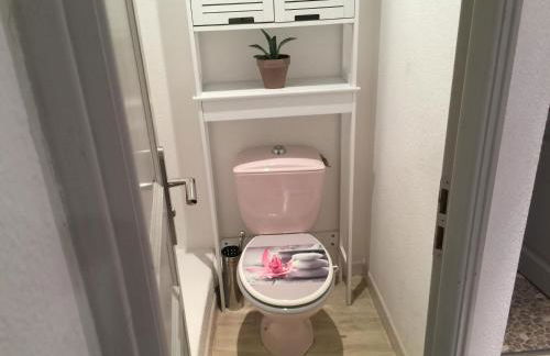 T2 avec TERRASSE, CLIM , box fibre - Foto 39