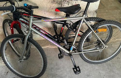 La Sinaise - Foto 39