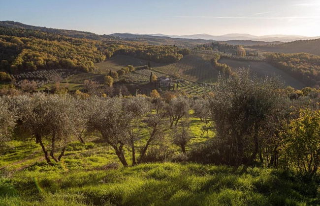 Charming Vineyard Escape - Foto 38