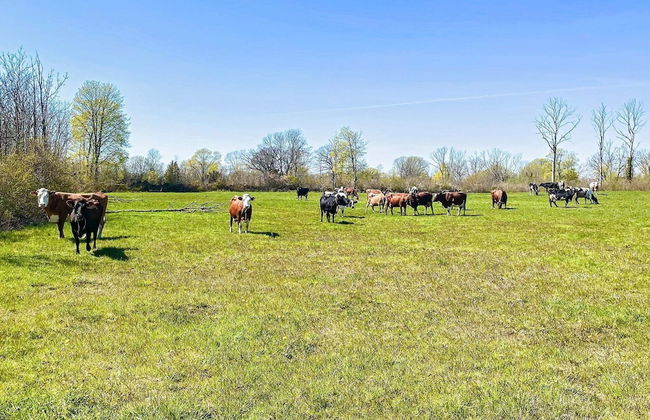 Rural House With Garden Near Borgholm - Foto 14