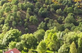 Turismo Rural Macieira Brava - Foto 17