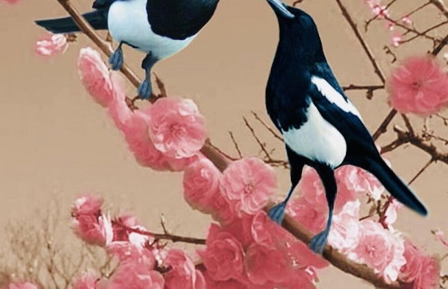 Treehouse Magpies Nest With Bubble Pool - Foto 17