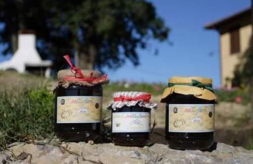 Apartment Panorama wohnung IL GIRASOLE by Interhome - Foto 15