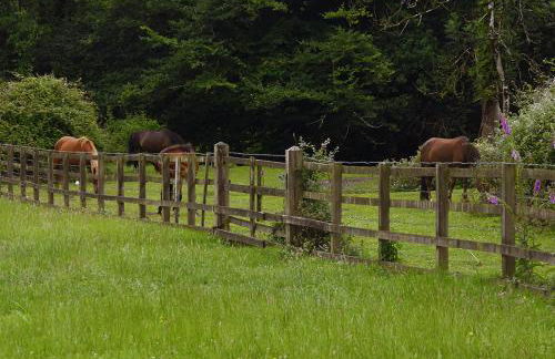 Cadnam Lodge - Foto 13