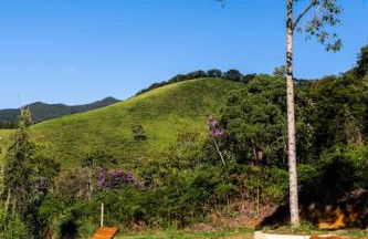 The Old Cheese Factory: Tlatetzauhtli - Foto 13