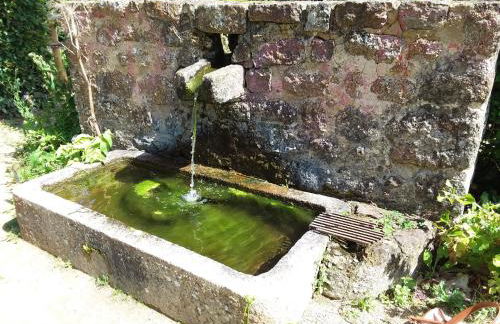 L'Orchidée - Photo 31