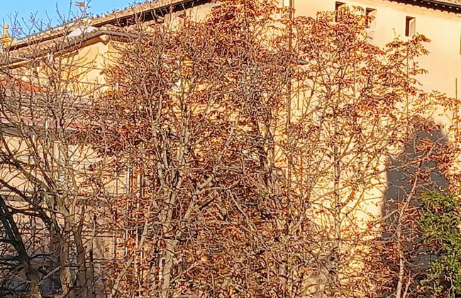 Finsonius Studios - Foto 1