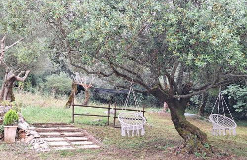 Casal das Nogueiras, casas rurais de charme agradáveis e acolhedoras - Foto 54