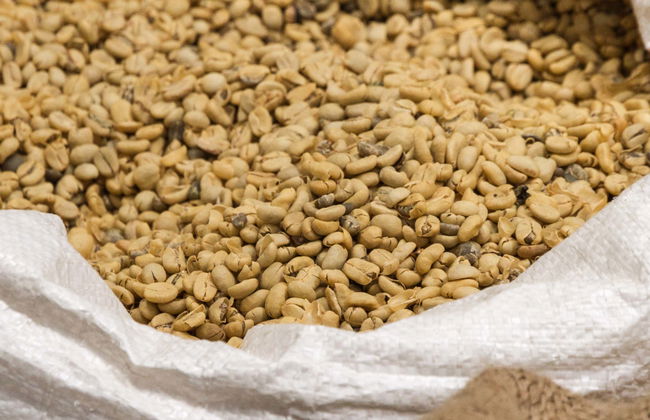 Excursão a Doka, Grecia e Sarchí - Foto 1