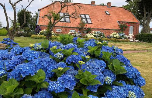 Uns Burnhuus "Vorderhuus" - Foto 12