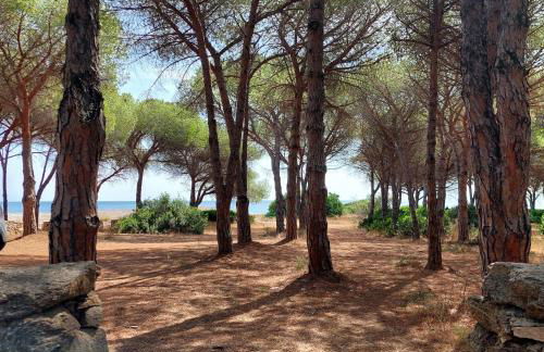 Seadas Garden Home - Beach 2 min away - Wi-Fi - AC - Parking - BBQ - Pet Friendly - Foto 11