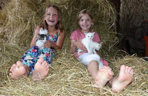 Schauerhof - Photo 10