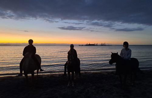 Reihenhaus Geltinger Bucht - Foto 35
