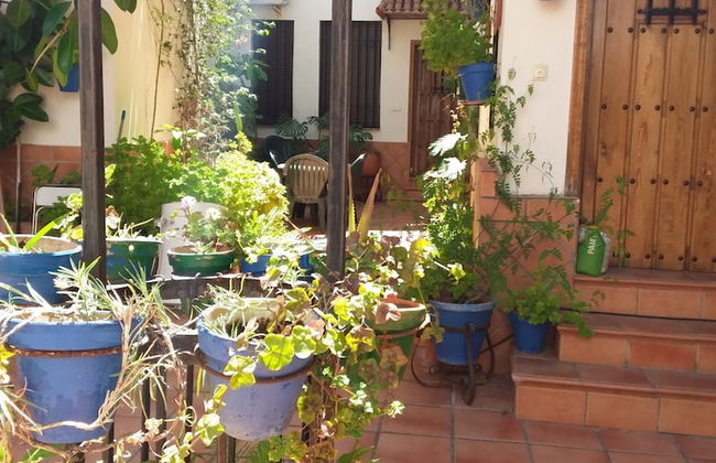 Casa Tipica Cordobesa en la Juderia - Photo 1