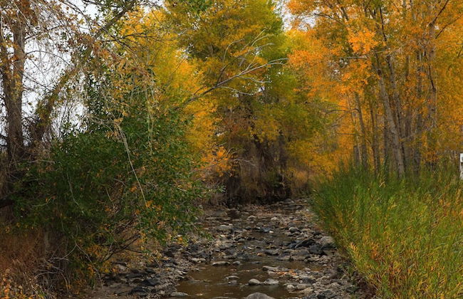 Eycat Lodging Company - Foto 51