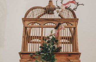 Altbauloft im Herzen Berlins - Foto 35