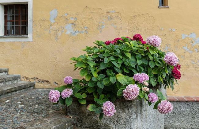 Mansion in Ovada With Pool and Scenic Hills - Foto 33