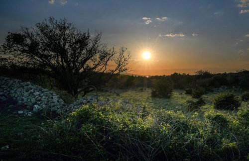 Island Villa Adriana with heated pool and sauna - Foto 53