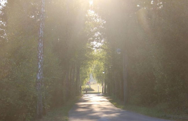 Feusdorf Forest Bungalow - Photo 37