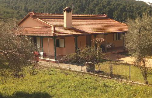 Villa Freedom - Koutsoubri Beach Evia - Foto 20