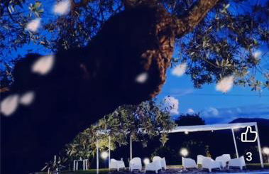 I Giardini Di Eidos - Foto 37