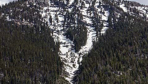 Day Trip to Mt. Charleston - Photo 2, Immerse yourself in the pine forest